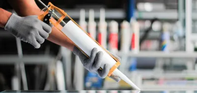 Coatings, Adhesives, Sealants & Elastomers